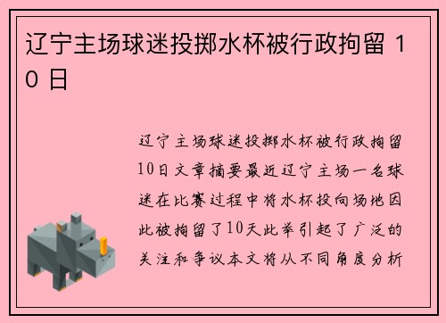辽宁主场球迷投掷水杯被行政拘留 10 日